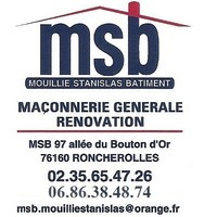 logo MSB